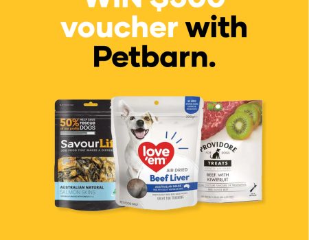 Pet Barn – Social Media campaign